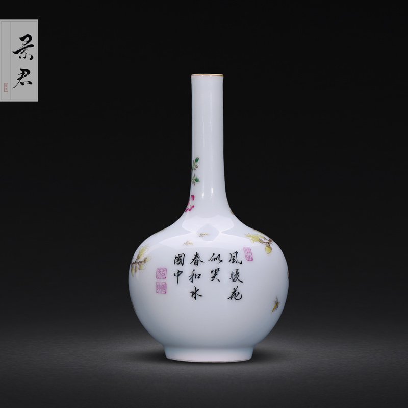 The Master of jingdezhen ceramics hand - made colored enamel Chinese vase furnishing articles sitting room porch decoration ceramics handicraft