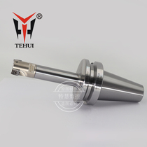R390 lock tooth head R390 Sandvik mirror milling tool bar three-dimensional tool Rod R390-11T308 blade