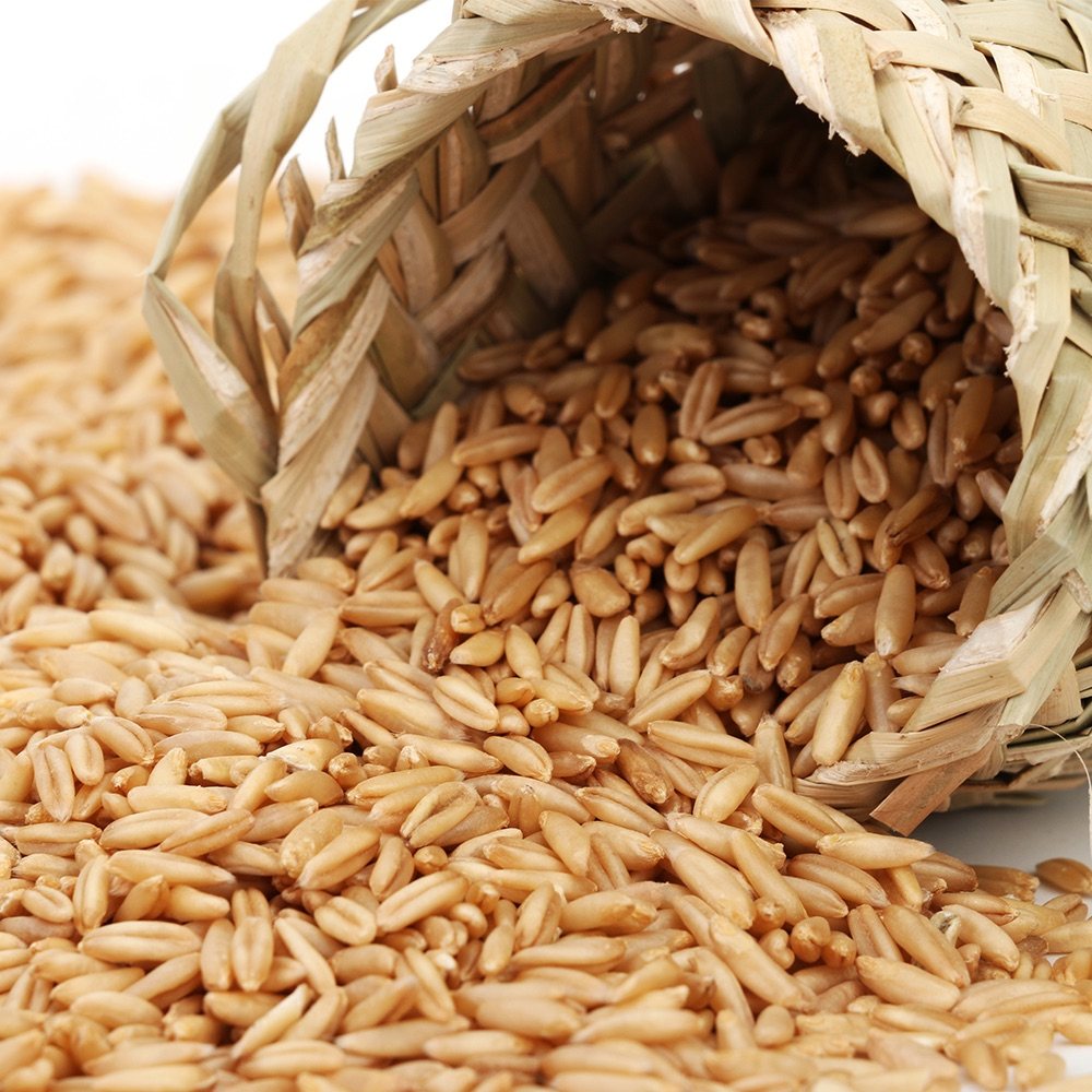 【天猫超市】十月稻田 燕麦米400g 五谷杂粮 粗粮 无添加 无染色