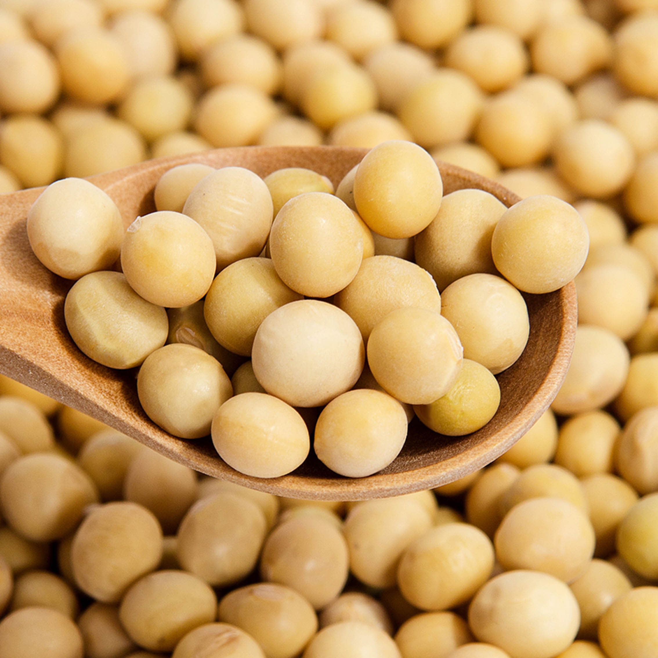 【天猫超市】南北通道黄豆360g*3包东北杂粮粗粮黄豆豆浆必备