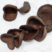 DIY handmade natural Natural Natural dried fruit series decoration decoration decoration hotel model room decoration must use ZAKKA