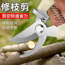 Flower tree branch pruning scissors household tools scissors lawn gardening garden scissors Flower Branch Flower Art special scissors