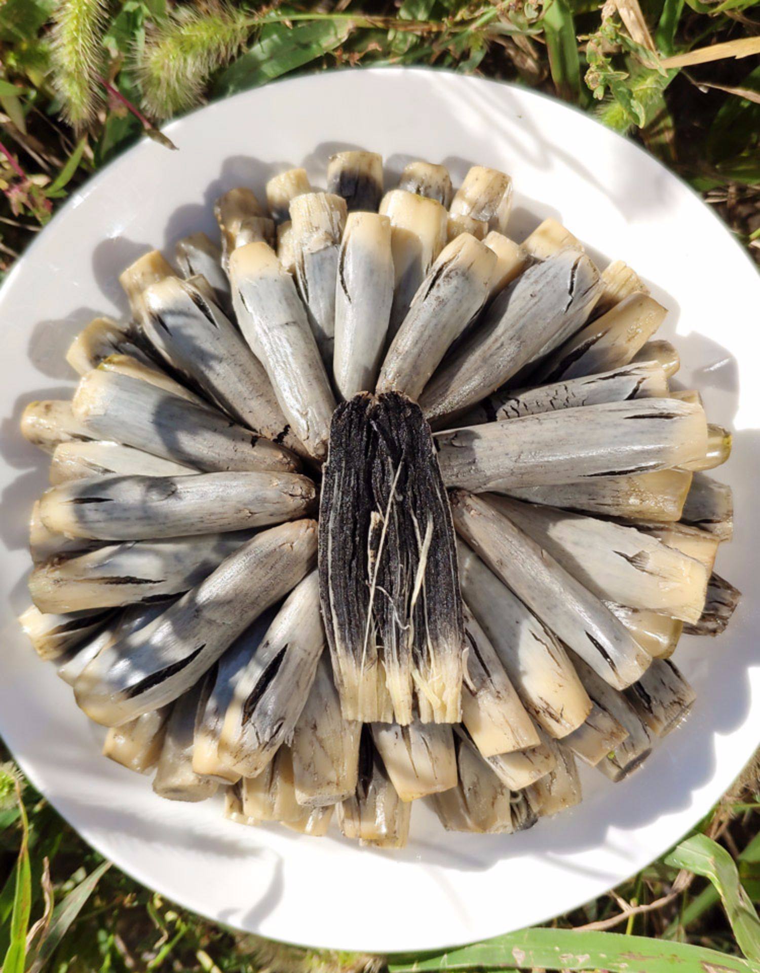 一冯农选 高粱乌米 东北特产新鲜速冻乌米乌咪1斤包邮