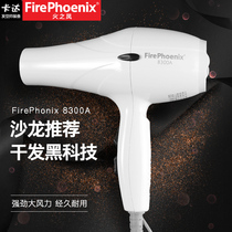 Fire Phoenix 8300 Hair Dryer Hair Salon Professional High Power Styling Electric Blow Hairdresser Hair Stylist Special