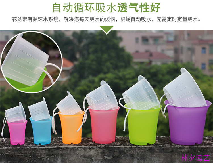 自动浇水懒人储水花盆彩色塑料水培花瓶带定植篮植物免棉绳套盆配