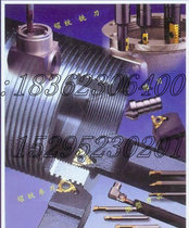 CPT CARMEX threaded blade 08IR A60 BMA MXC