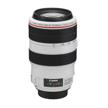 Canon 70-300L IS Lens EF 70-300mm f 4-5 6L IS USM Tele Zoom 70-300