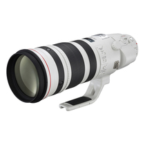 Canon EF 200-400 mm f4L IS USM Extender 1 4x Ultra-Telephoto