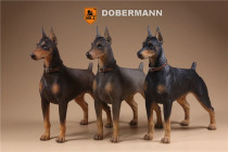 Mr Z MR Z Z Zhu's genuine 1 6 German Dubin Dog Model Pendulum Doll Bombie Bombo Bombie Parts