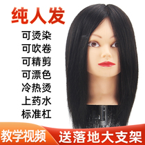 Hair-cutting doll head mold real hair apprentice barber shop fake head permurved model head practice head hairstyle model