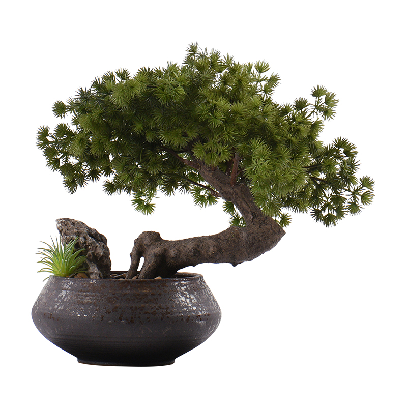 New Chinese style guest - the greeting pine bonsai place dry landscape example room micro landscape, green plant ceramic pot home decoration