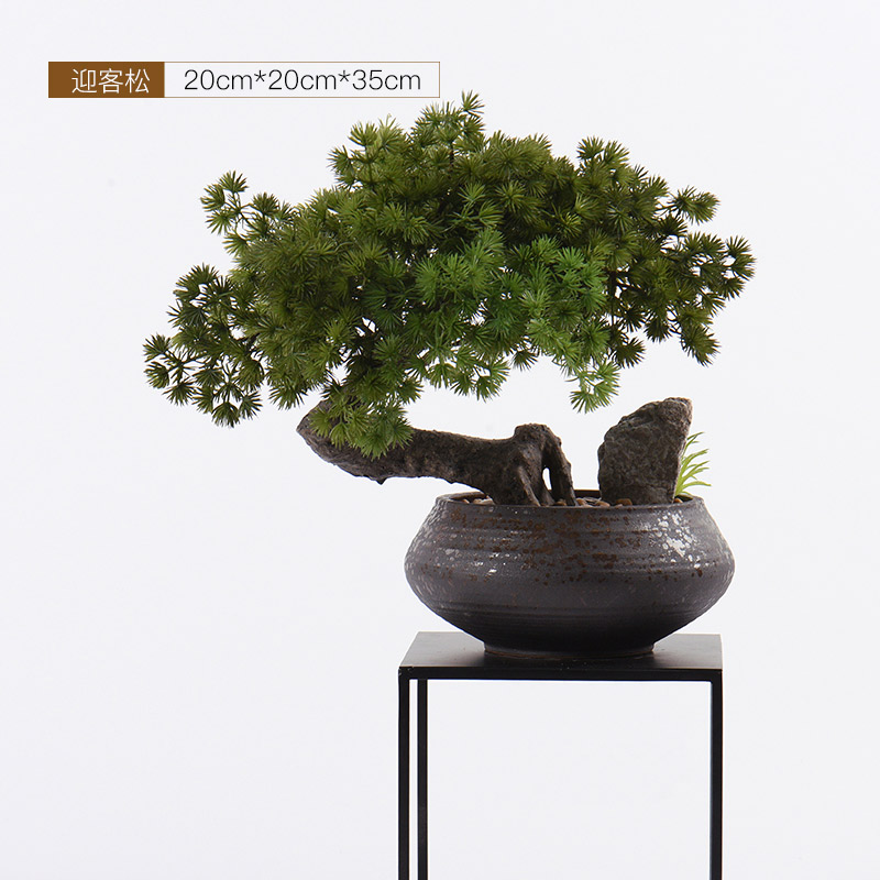 New Chinese style guest - the greeting pine bonsai place dry landscape example room micro landscape, green plant ceramic pot home decoration