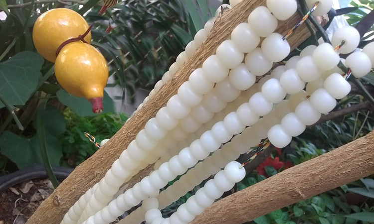 天然原色树籽贝叶棕种子菩提根文玩佛珠桶珠手串7*9/8*10挂珠散珠