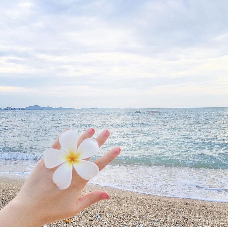 Japan and South Korea fresh seaside beach resort photo flower frangipani hair clip side clip head ornament hair ornament head ornament