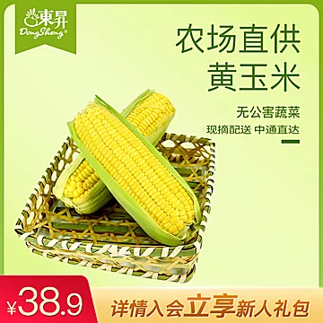 东升农场新鲜黄玉米包谷栗米食品蔬菜5斤[37元优惠券]-寻折猪