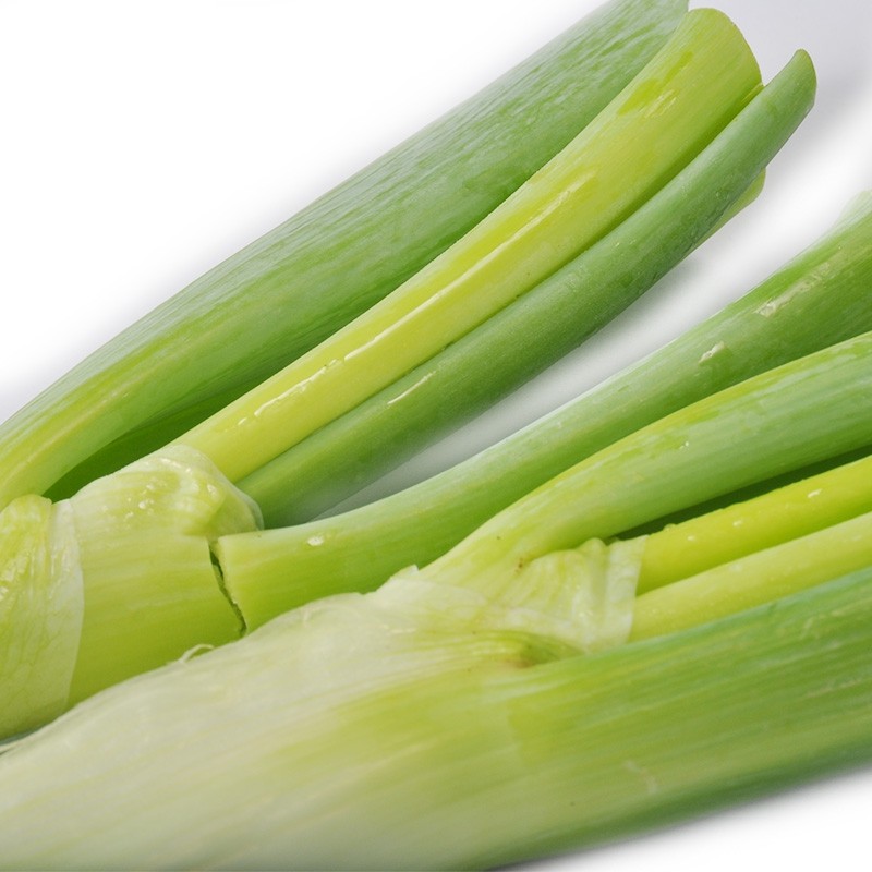 东升农场京葱大葱甩葱青菜辅料广州蔬菜新鲜配送300g