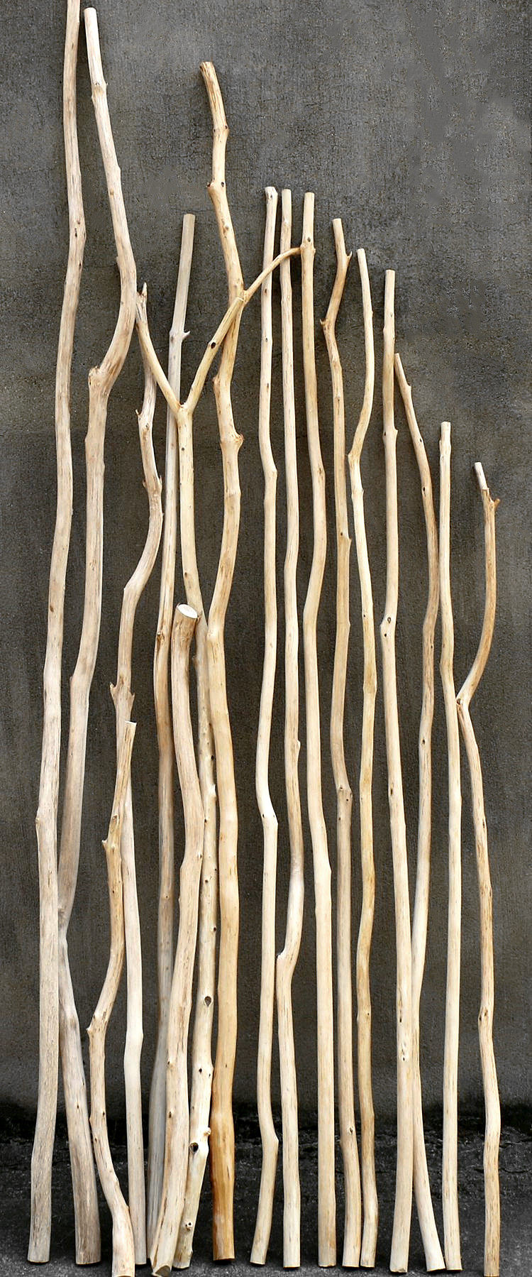 家居装饰素材去皮树杆树枝服装挂衣杆枯木创意装修客厅玄关隔断-阿里