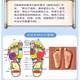 단독 마사지 풋 패드 손가락 프레스 플레이트 성인 발가락 압력 판 자오선 울트라 조깅 발 스테핑 소프트 실리콘 인시 칸 밑창 단독 마사지 풋 패드 손가락 프레스 플레이트 성인 발가락 압력 판 자오선 울트라 조깅 발 스테핑 소프트 실리콘 인시 칸 밑창