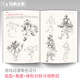 Anime Human Body Techniques Hand-painted Game Character Action Design Setting Tutorials Books Illustrations Character Structure Modeling Painting Zero Basics Getting Started Self-study Teaching Materials Lintong Art Book Collection Ancient Mark Pen Coloring Yang Jianfei Anime Human Body Techniques Hand-painted Game Character Action Design Setting Tutorials Books Illustrations Character Structure Modeling Painting Zero Basics Getting Started Self-study Teaching Materials Lintong Art Book Collection Ancient Mark Pen Coloring Yang Jianfei