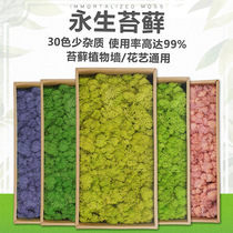 Impurity-free moss wall simulation plant wall indoor image background wall decoration green plant deer core diy