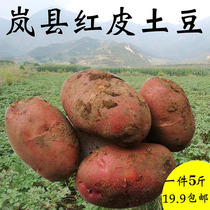 5kg of Shanxi Lanxian specialty fresh vegetable sand flour Alpine Red Yellow Heart Big Potato potato potato potato potato