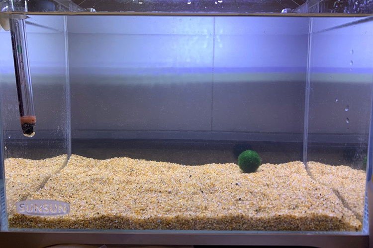 鱼缸造景装饰石头底沙水草缸天然黑金沙铁胆细沙火山石子鱼缸底砂