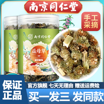Nanjing Tongrentang Motherwort 50g cans of fresh water to drink triangle bag independent portable official flagship store