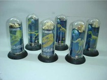 Special price 4D assembled dinosaur model interspersed dinosaur fossil skeleton model 6 dinosaur skeleton long tube