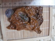 Alxa Gobi stone pictograph stone horse tooth stone agate raw stone Gobi Jasper carving material