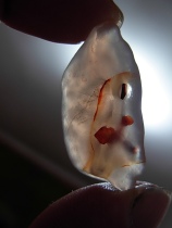 Alxa Gobi agate original stone shape agate grass flower agate sketch stone pictographic stone incline