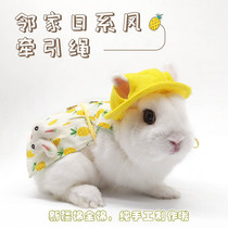 Pet rabbit clothes dwarf rabbit chincho out hat leash set photo style clothing Cute kindergarten style