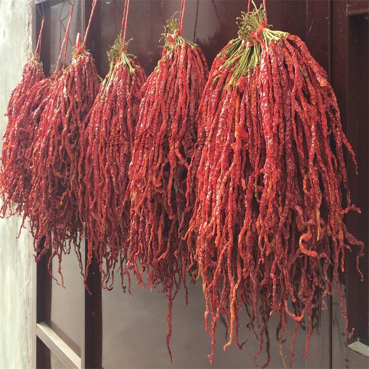 贵州毕节特产大方干辣椒香味十足大方皱椒二荆条细长干线椒500g