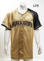 NPB Hokkaido Ham fighter FIGHTERS yangdai steel yoh24 mesh embroidery baseball suit