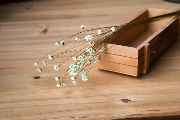 天星菊文艺小清新迷你小雏菊巴西迷你花束艺术干花装饰品拍摄道具