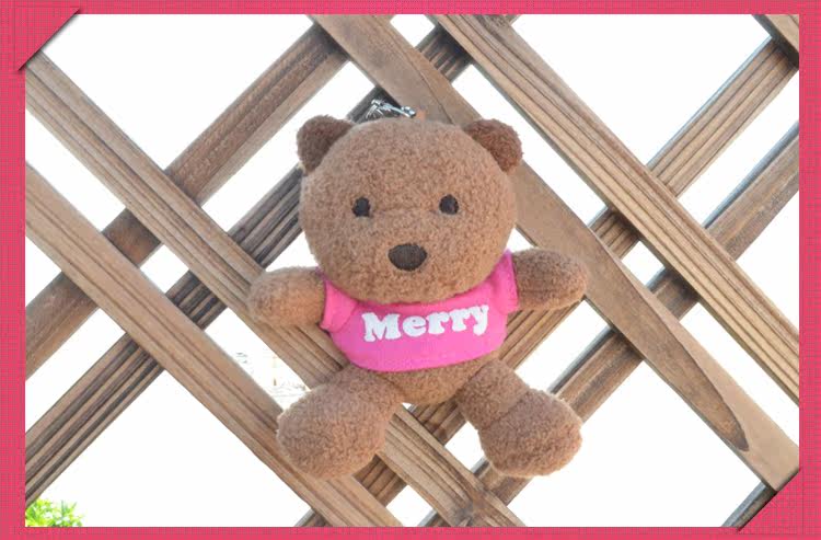 正品boc缤纷熊生日熊365小熊英文名字熊 百家姓送男女朋友礼物