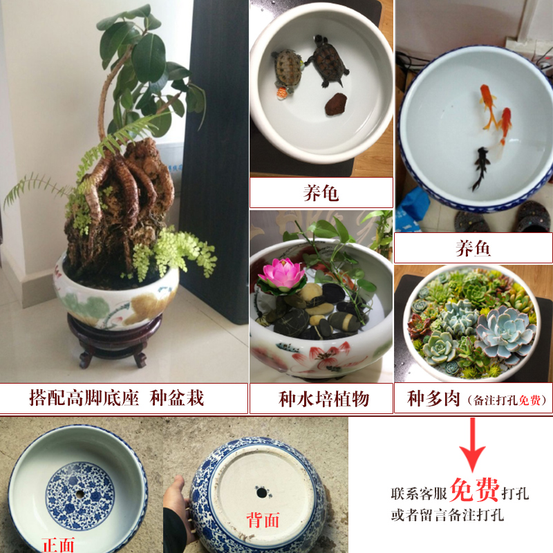 Jingdezhen porcelain hand draw freehand brushwork in traditional Chinese ceramics daikin aquarium water shallow tortoise cylinder water lily refers to basin of lotus furnishing articles