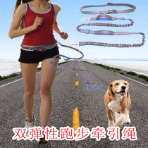 Dog walking rope Running traction rope Telescopic elastic dog chain Dog rope Waist dog rope traction rope going out dog walking rope