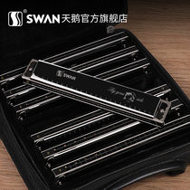  Swan harmonica 24-hole polyphonic harmonica 7-tone 12-tone professional performance level Beginner student mens advanced full set