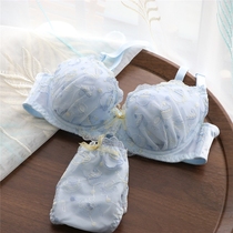 Spring and summer new cute sexy sweet girl heart thin underwear set micro gathering lace Japanese girl bra