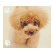 Japan sanwa dog mouse pad Cat small ultra-thin mini cute girl laptop mouse pad