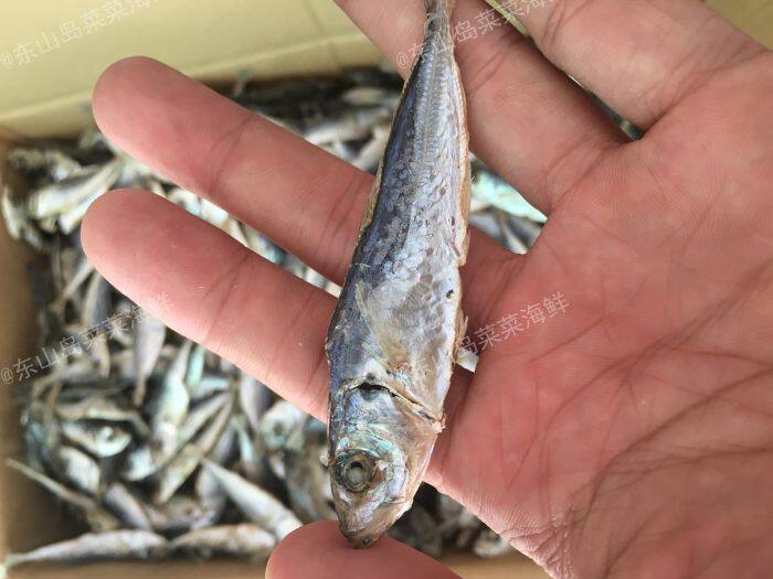 微博 知名美食博主 查看更多 a ta的小店 海鲜菜菜活冻红花蟹锈斑蟳
