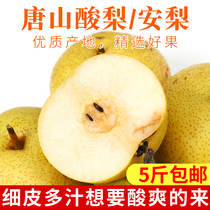 Sour pear fresh Tangshan specialty fruit 5kg rotten sour pear northeast frozen pear fine skin juicy small sour pear
