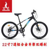 Phoenix Bike 22 Inch 7 Speed Male And Female Students Teenagers Mountain Bike Shock Absorbing Cross-country Aluminum Alloy Commuter Bike
