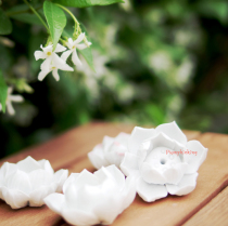 Melon Meow incense new version of ceramic lotus flower encounter small white lotus incense