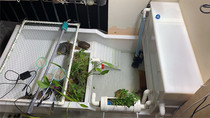 Tortoise tank with drying platform feeding tank Villa household large breeding box turtle pond with drainage hole filter with sand pool box