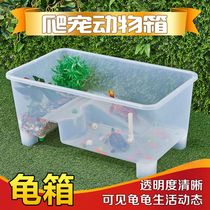 Turtle tank with drying table egg area medium and large villa luxury household Stone Turtle Ecological breeding box turtle pond with drainage