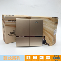 HEE how-to switch socket II open double control Two-position single open no frame without shadow switch Champagne golden 86 type switch