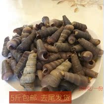 Oncomelania fresh conch fresh snail wild sea screw Lianyungang tail snail seafood aquatic products 250g
