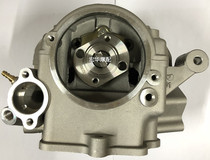 Suitable for Hailing M7 Tomahawk CQR250 Zongshen CB250 water-cooled cylinder head assembly valve rocker Cam