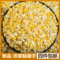Northeast ballasts sticky corn New farmers produce their own five-grain grains coarse grains sticky bracts sticky corn stubble 1 kg